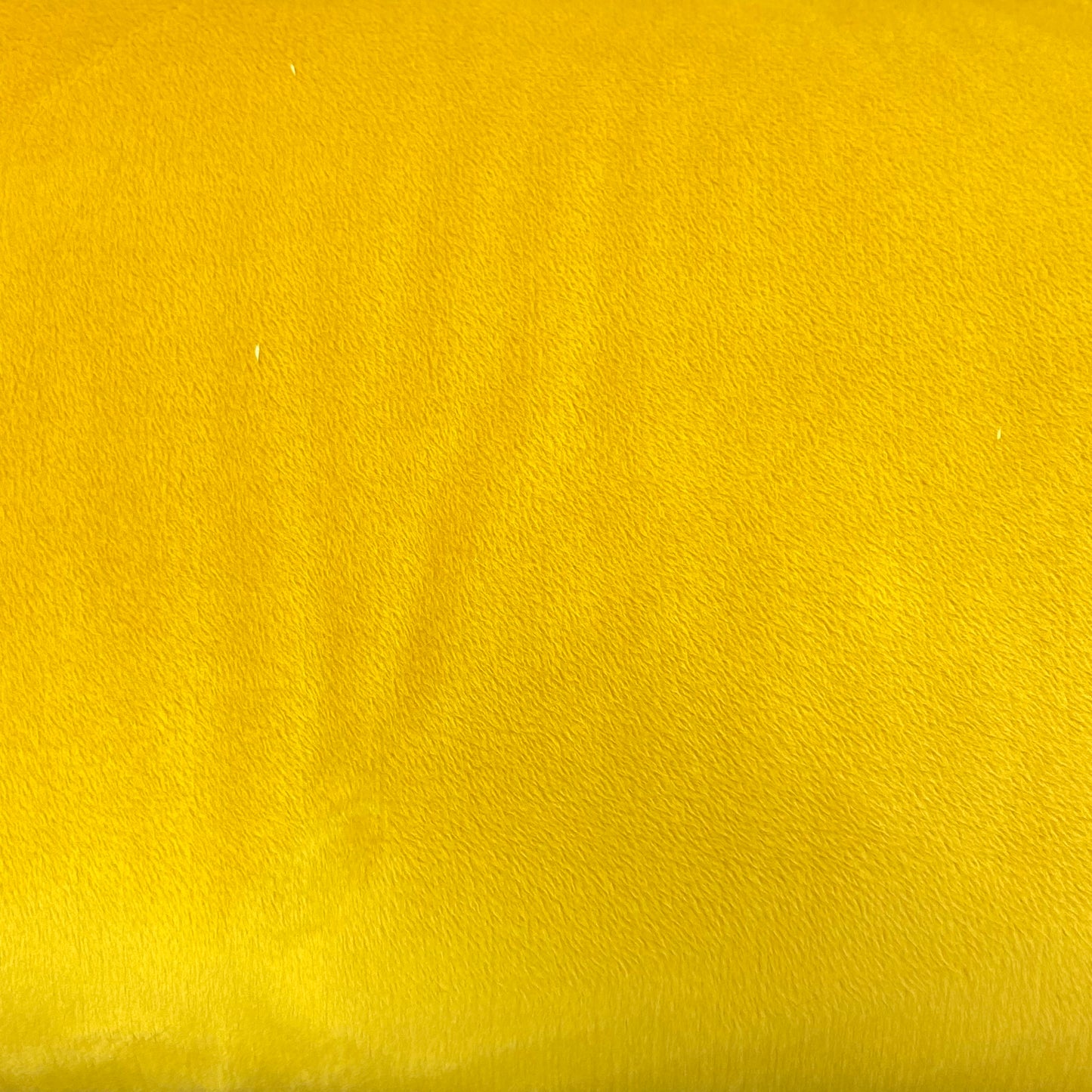 Gold Smooth - Shannon Fabrics Cuddle Minky