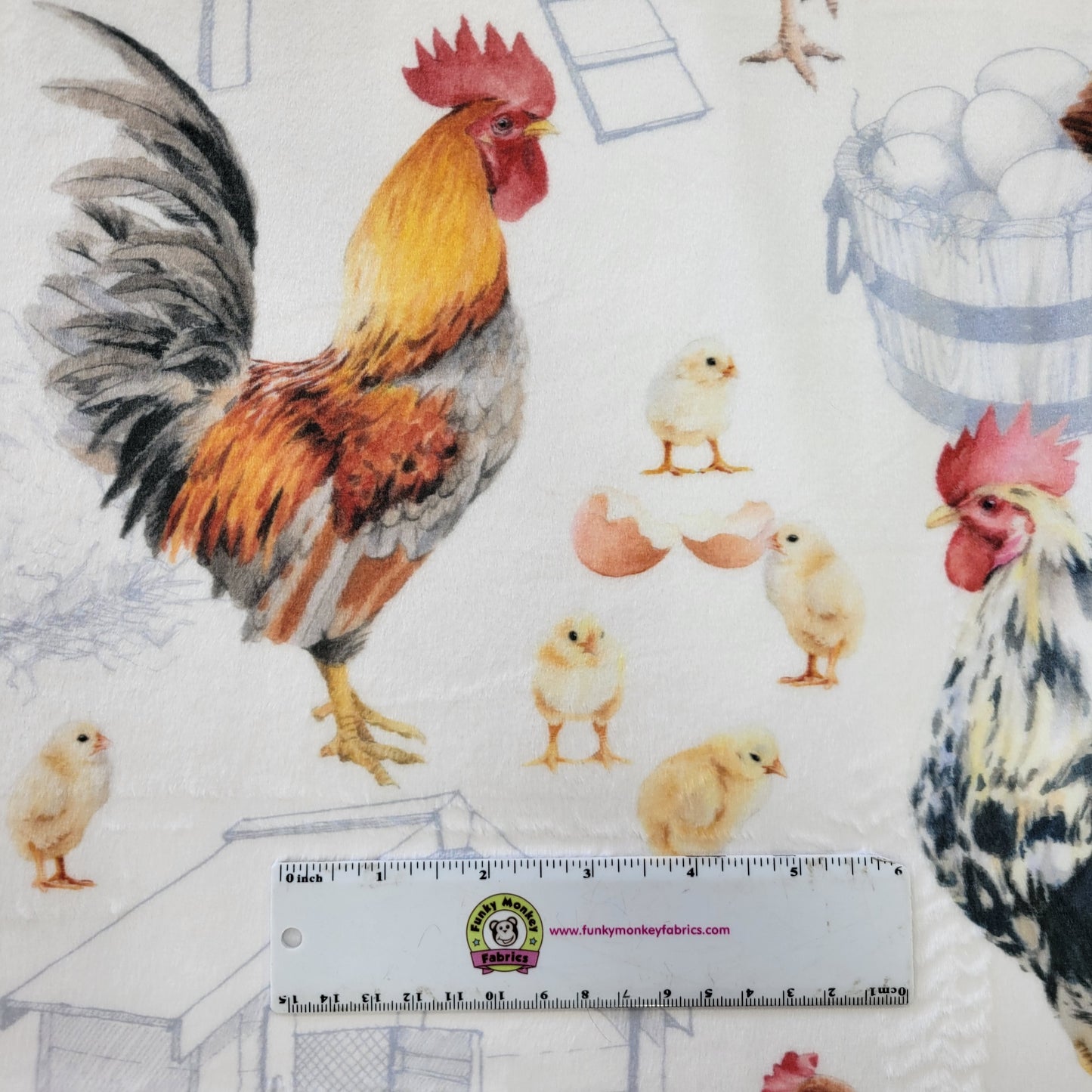 What Comes First - Shannon Fabrics Cuddle Minky
