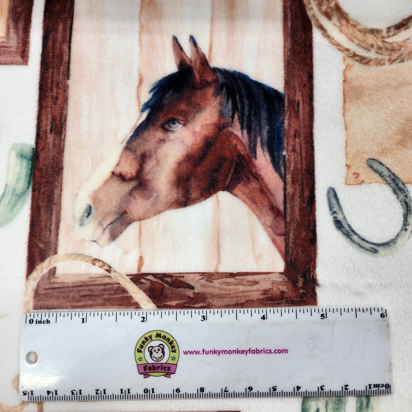 Old West Frames Digital - Shannon Fabrics Cuddle Minky