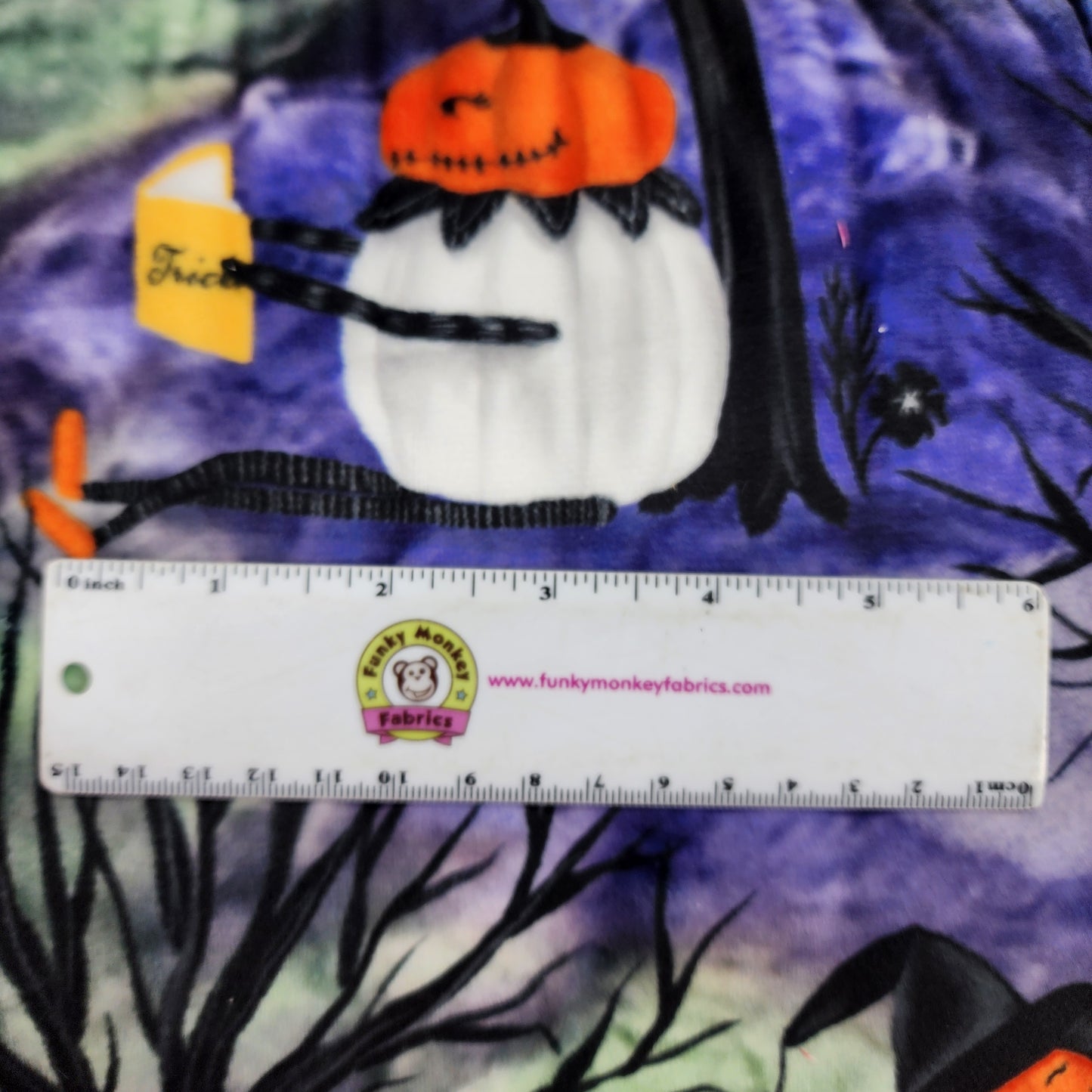 CLEARANCE Pumpkin Heads Amethyst Digital - Shannon Fabrics Minky