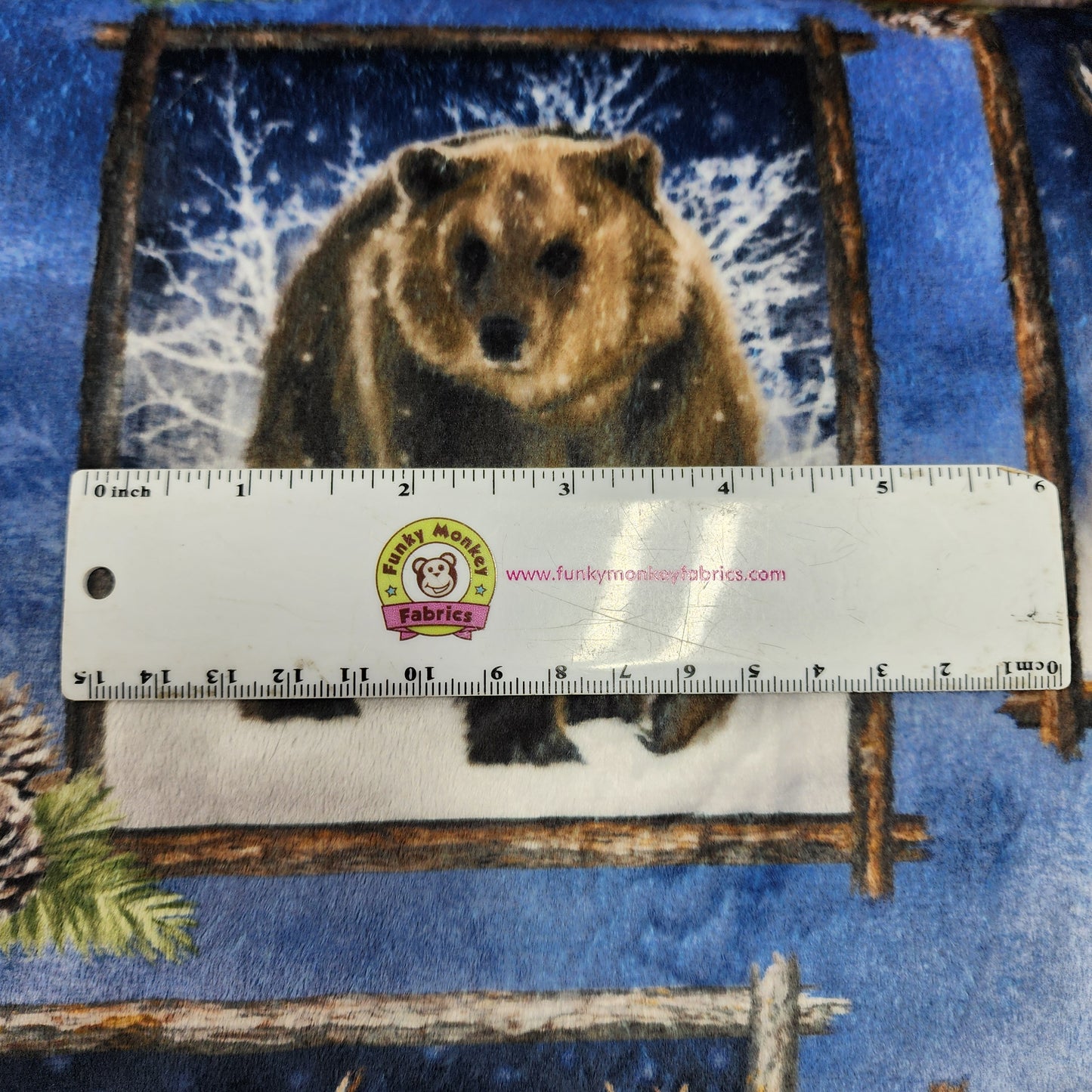 Multi Frosty Frames Digital - Shannon Fabrics Cuddle Minky