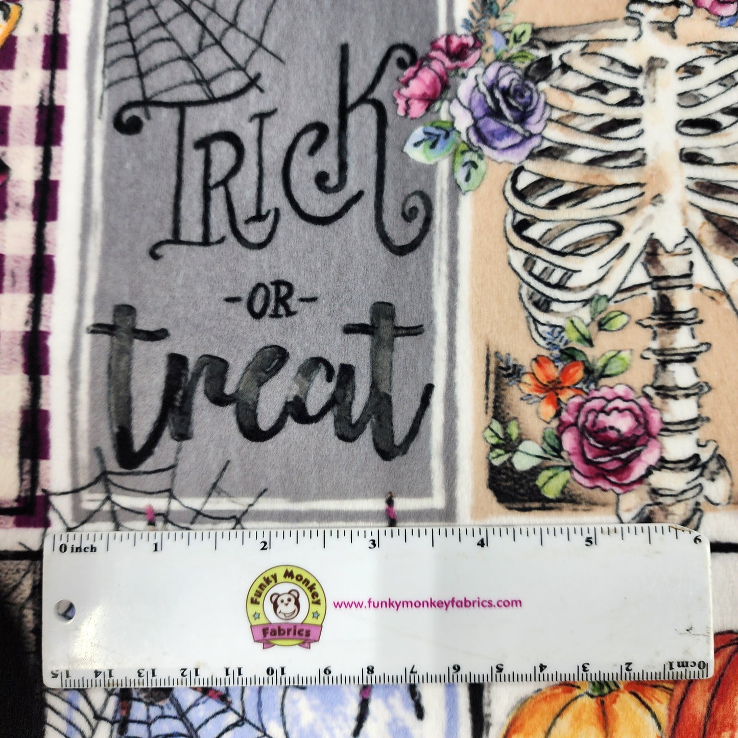 CLEARANCE Spooky Chic Digital - Shannon Fabrics Cuddle Minky