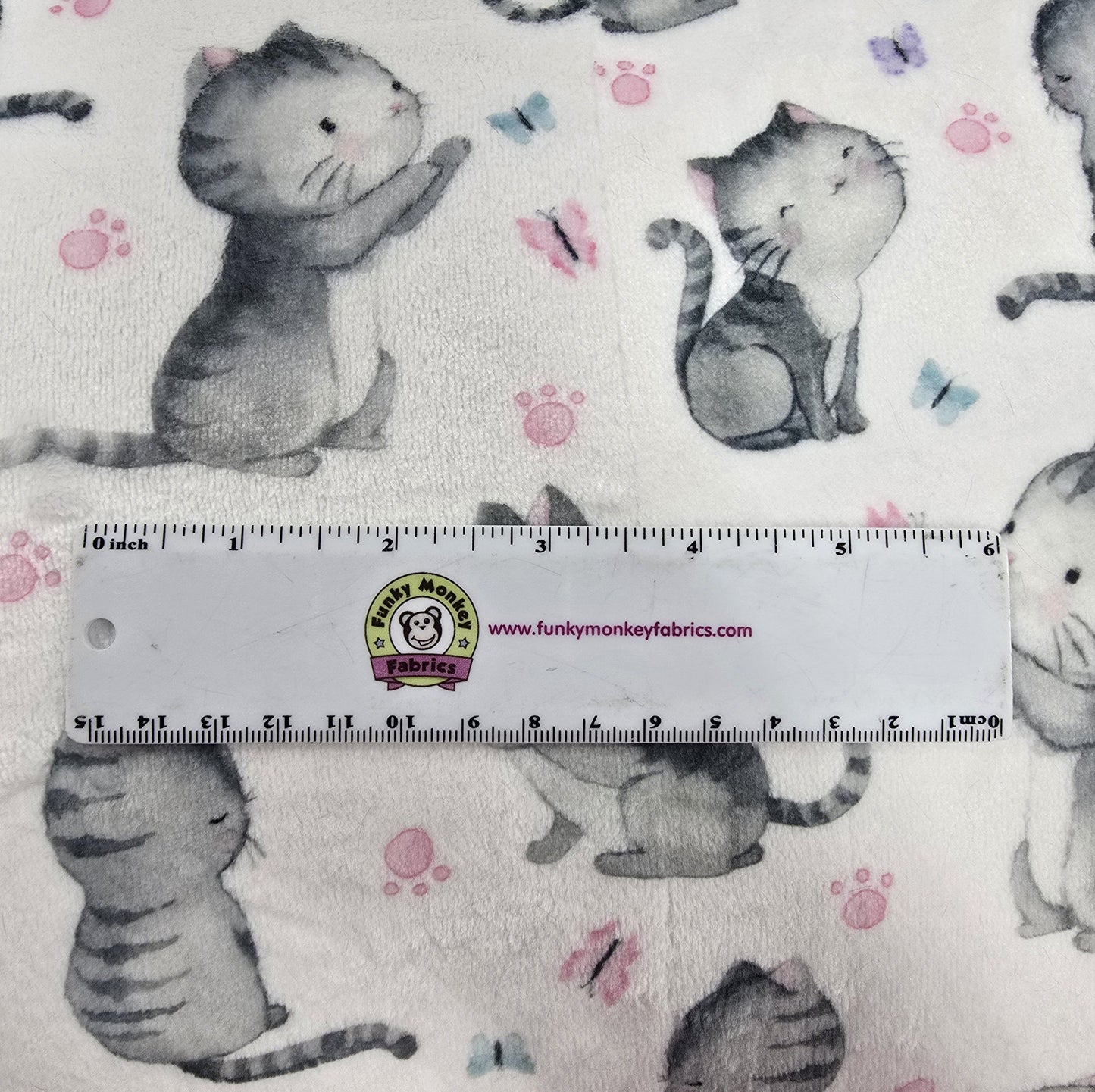 Are You Kitten Me Cloud Cuddle - Shannon Fabrics Cuddle Minky (ccareyoukittenmhotpink)