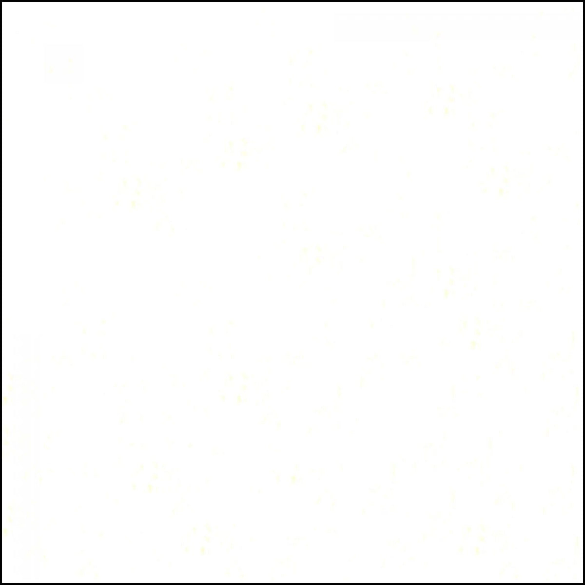 White - Fresh Solids - Camelot Cotton