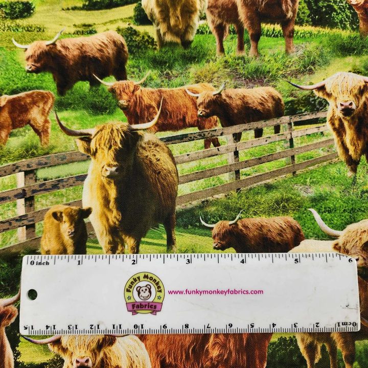 Highland Cows - Timeless Treasures Cotton (CD3076-multi)