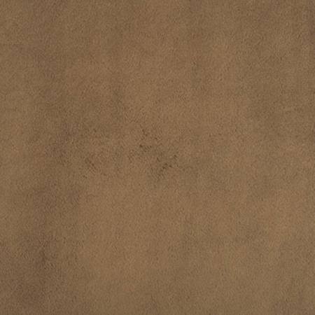 Cappuccino Smooth - Shannon Fabrics Cuddle Minky