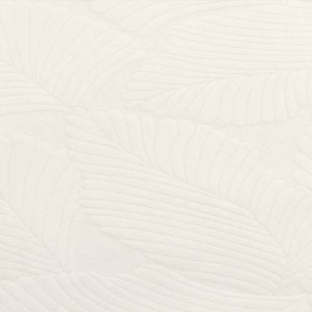 White 90" Tropic Burnout - Shannon Fabrics Cuddle Minky (C390TROP-LEWHITE)