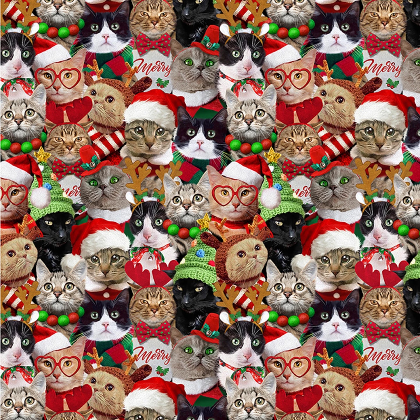 Holiday Packed Holiday Cats - Timeless Treasures Cotton