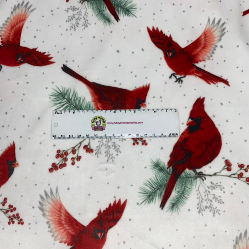Cardinal Hoffman Frost Flight Digital - Shannon Fabrics Cuddle Minky