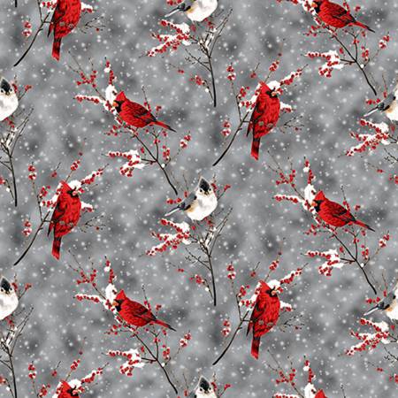 Silver Hoffman Cardinal Sparrow Digital - Shannon Fabrics Cuddle Minky