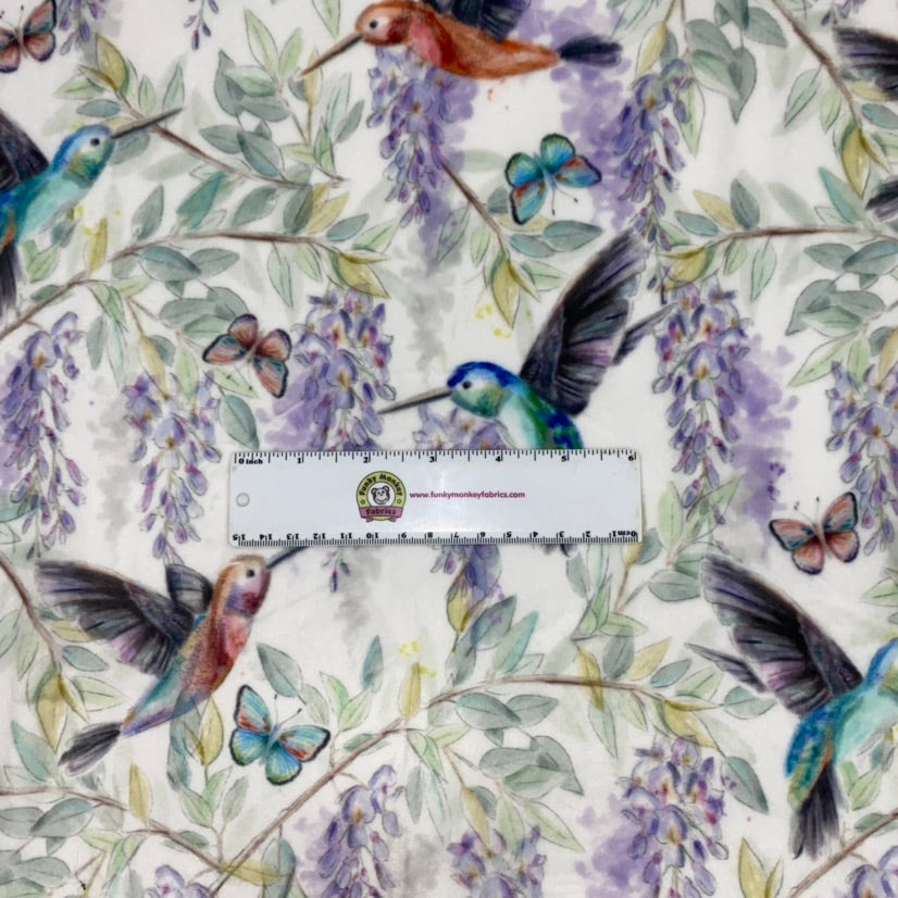 Multi Hummingbird Digital - Shannon Fabrics Cuddle Minky