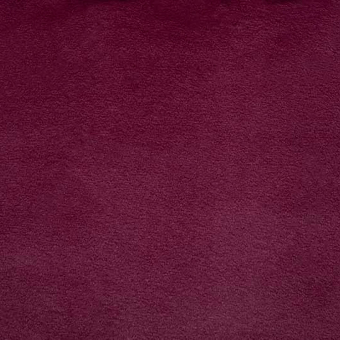 Black Cherry Bunny - Shannon Fabrics Cuddle Minky (LCBUNNYBLACKCHERRY)