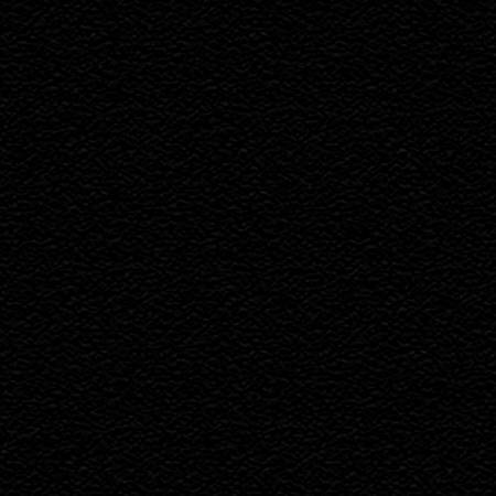 Black Winter Fleece (WFS9000)