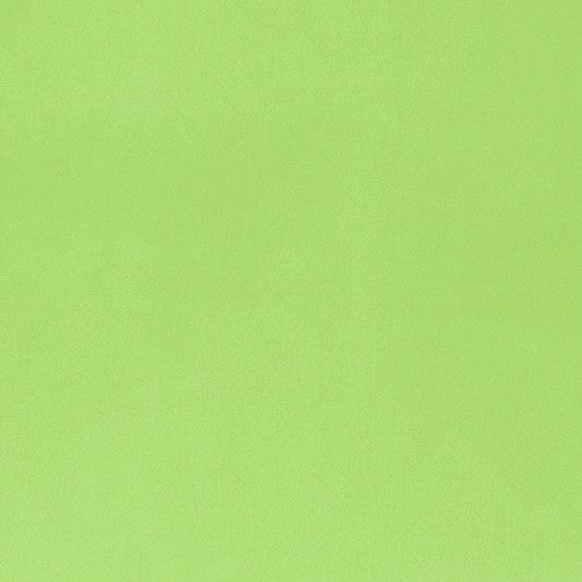 Lime Smooth - Shannon Fabrics Cuddle Minky