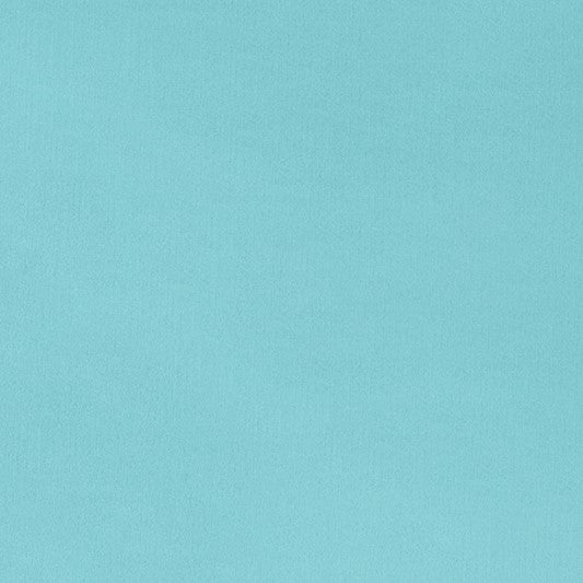 Topaz Smooth - Shannon Fabrics Cuddle Minky