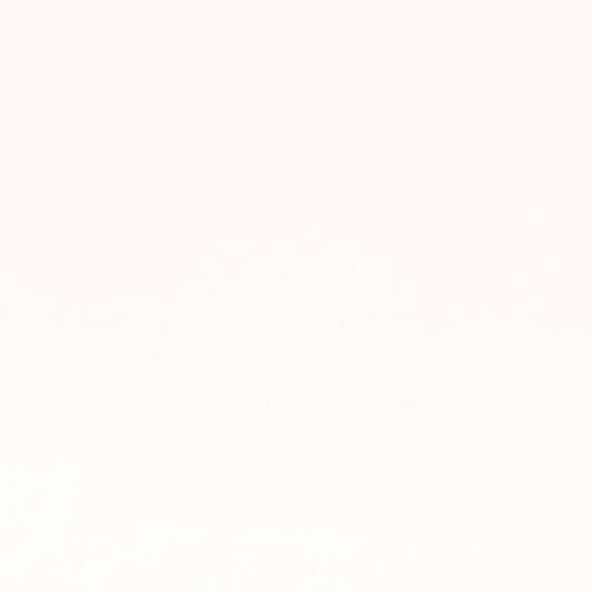 White Smooth - Shannon Fabrics Cuddle Minky