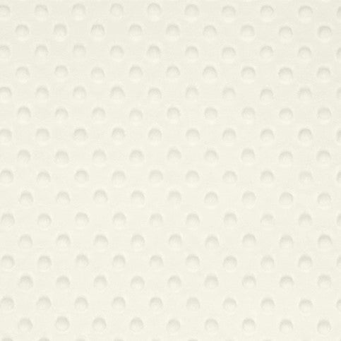 Natural Dimple - Shannon Fabrics Cuddle Minky