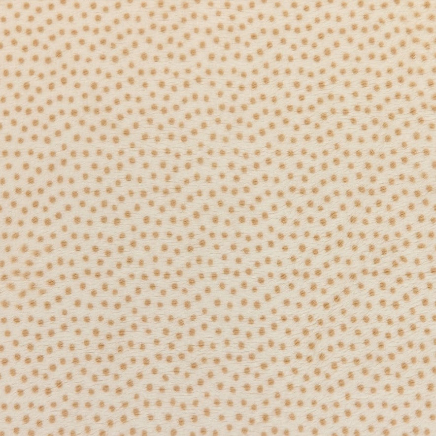 90" Dottie Sand - Shannon Fabrics Cuddle Minky (cp90dottiesand)