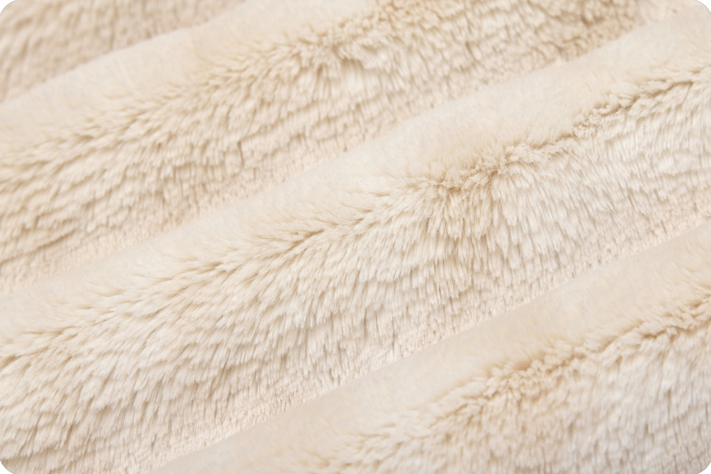 Creme Fusion Bunny - Shannon Fabrics Cuddle Minky