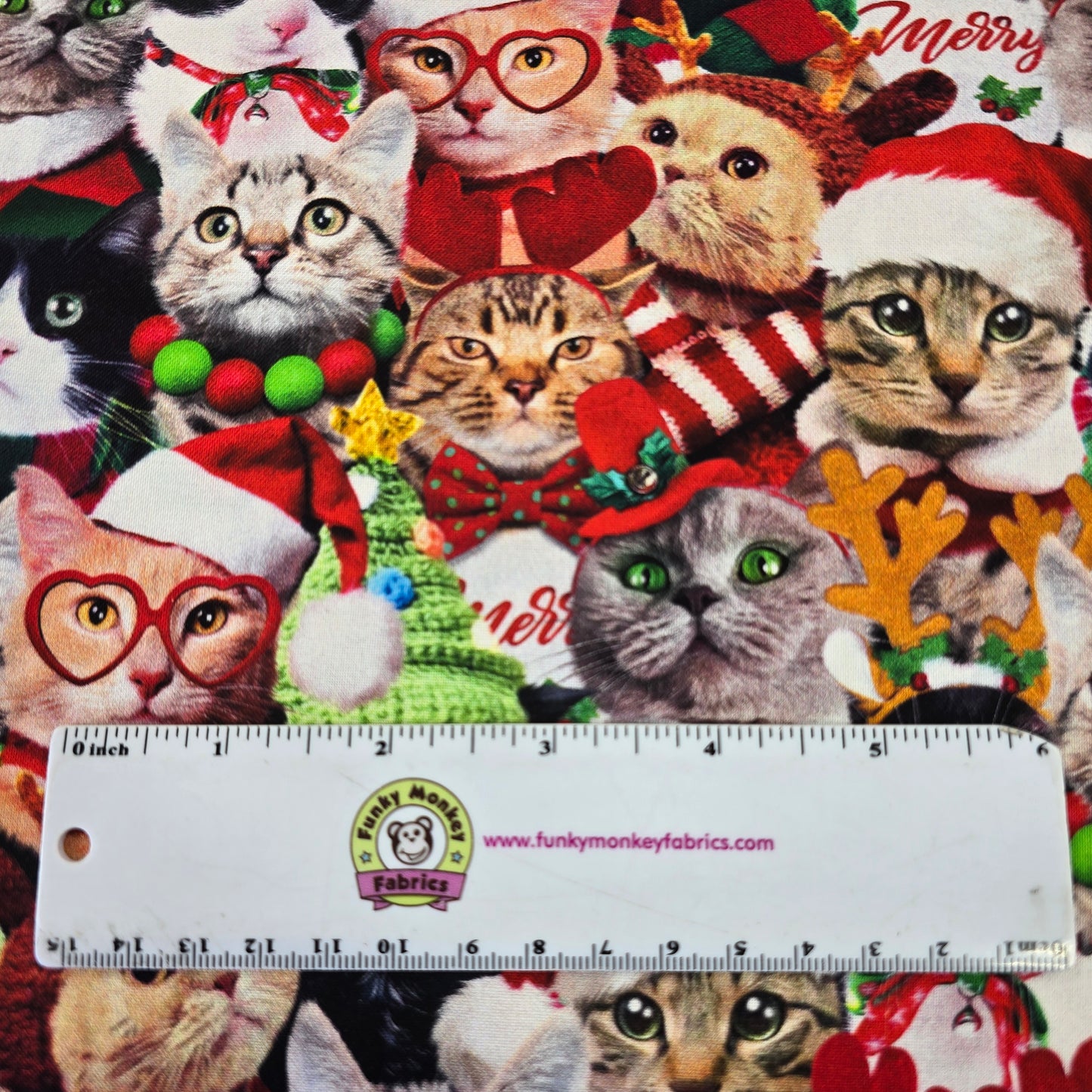 Holiday Packed Holiday Cats - Timeless Treasures Cotton
