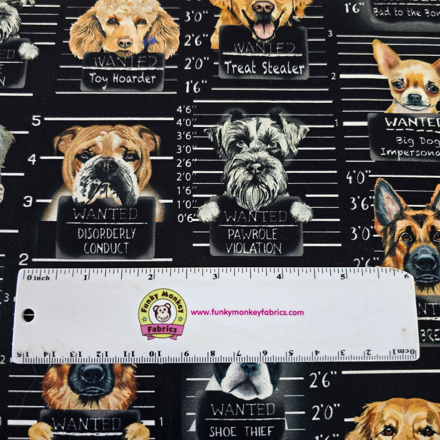 Black Dog Mugshots - Timeless Treasures Cotton