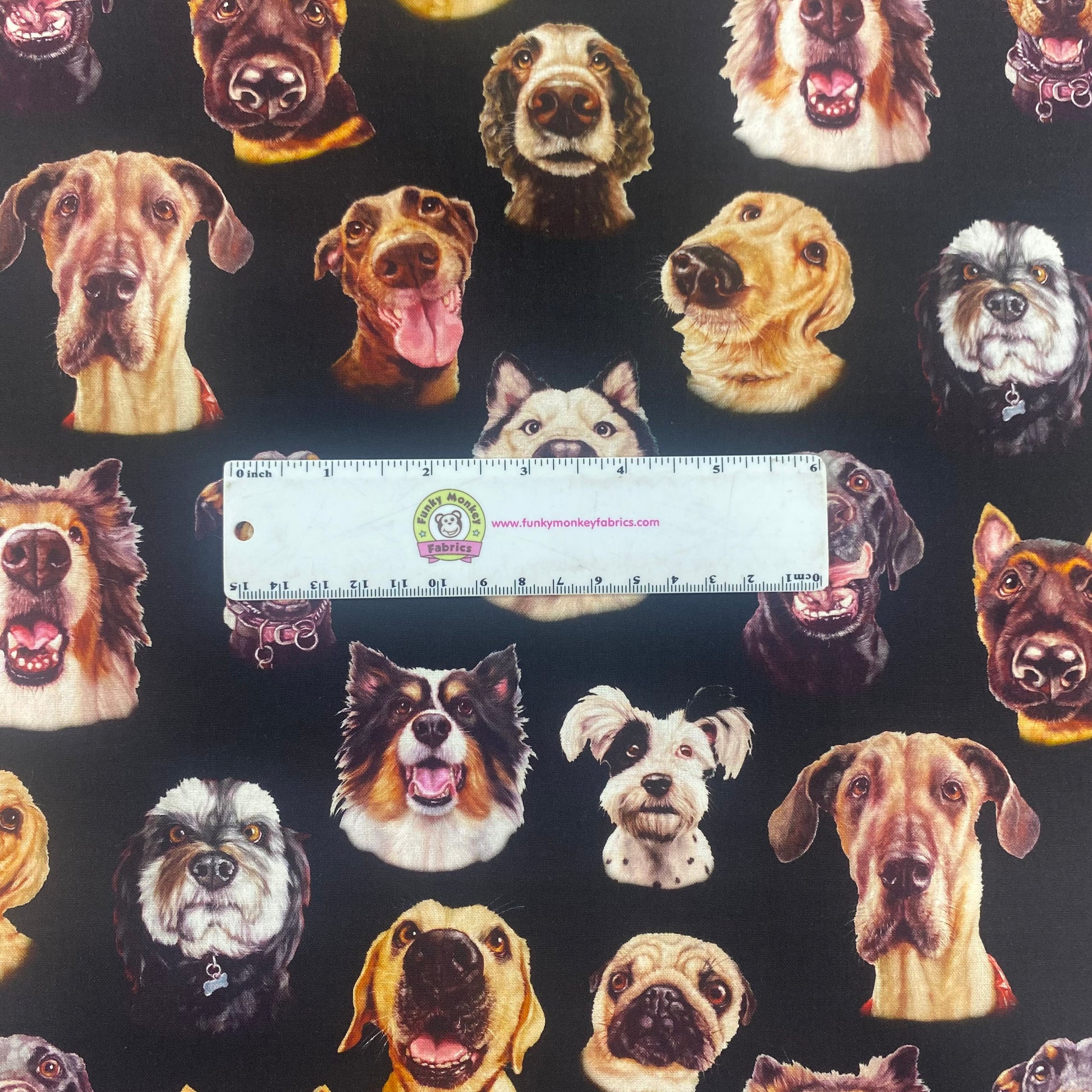 Dog Faces on Black - Elizabeth Studios Cotton