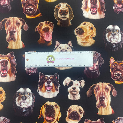 Dog Faces on Black - Elizabeth Studios Cotton