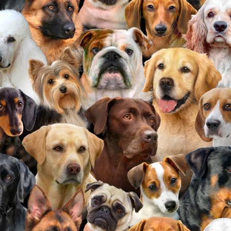 Black Packed Dogs - Elizabeth's Studio Cotton