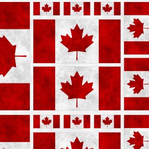 Canadianisms Flag Panel - Wilmington Prints Cotton