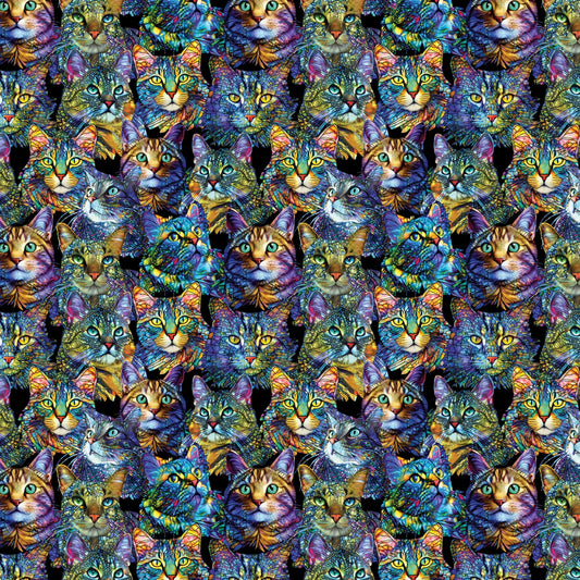 16734B-99 multi cat artistry portraits
