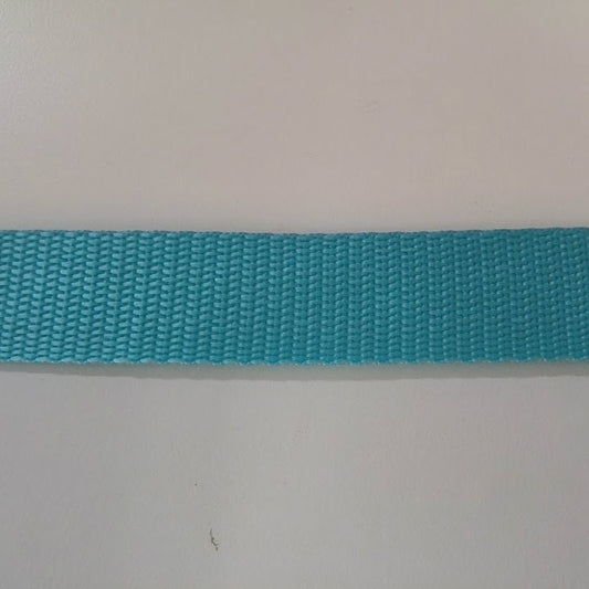 Webbing - Aqua