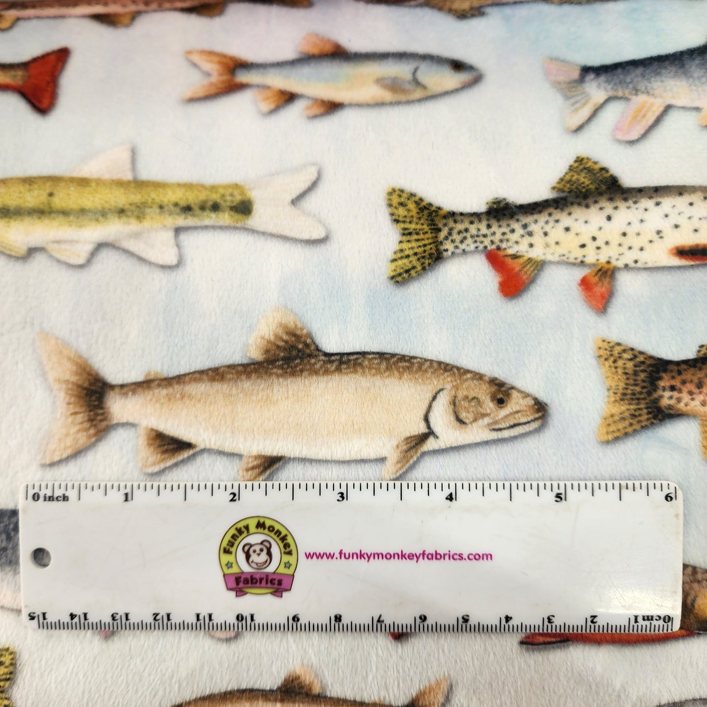 Plenty of Fish Digital - Shannon Fabrics Cuddle Minky