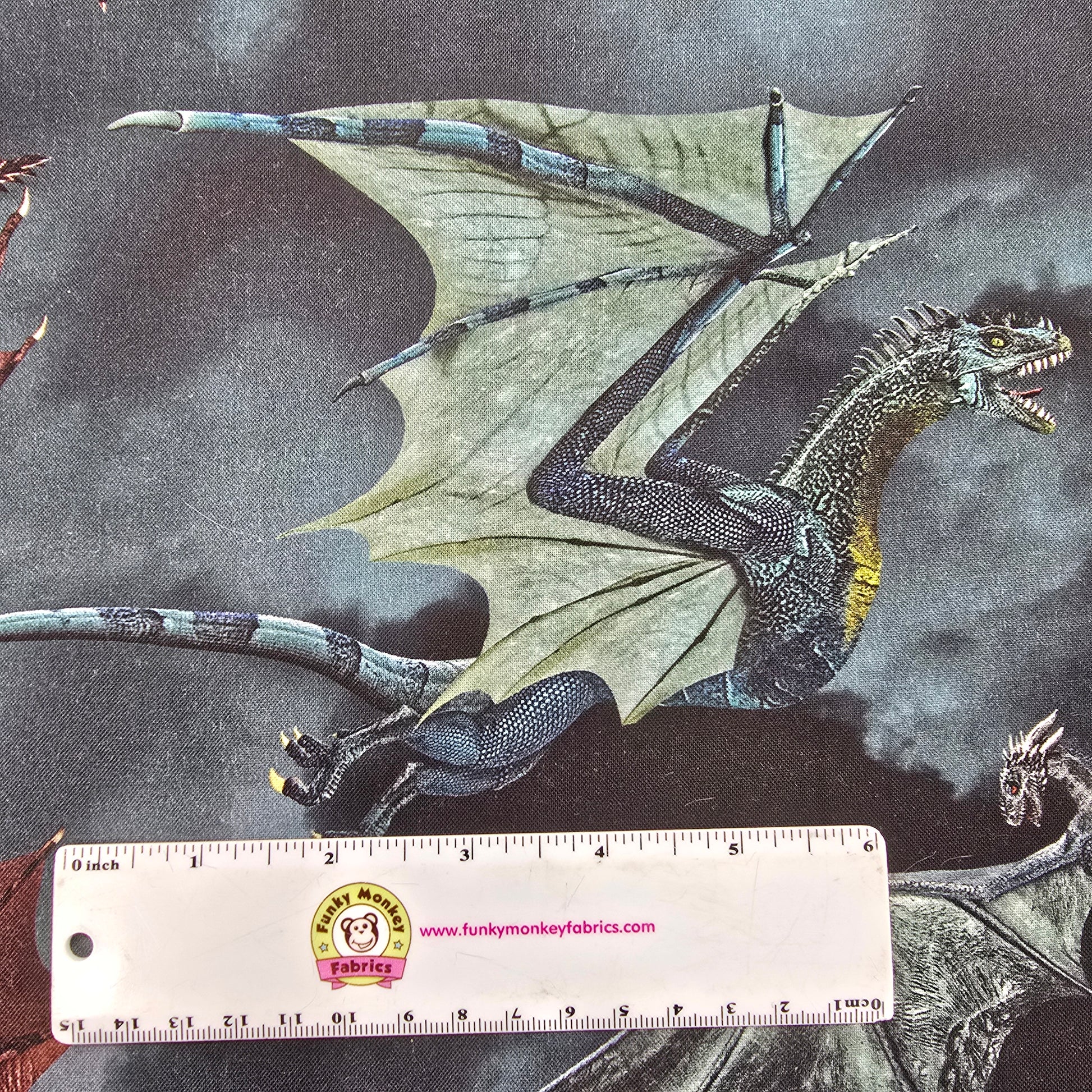 Grey Dragon's Battle - Timeless Treasures Cotton