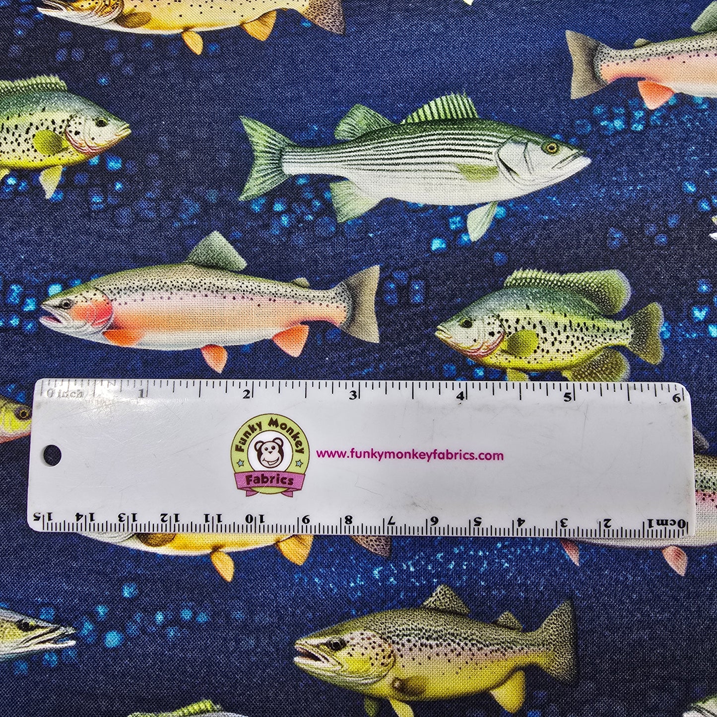 Blue Fish - Timeless Treasures Cotton