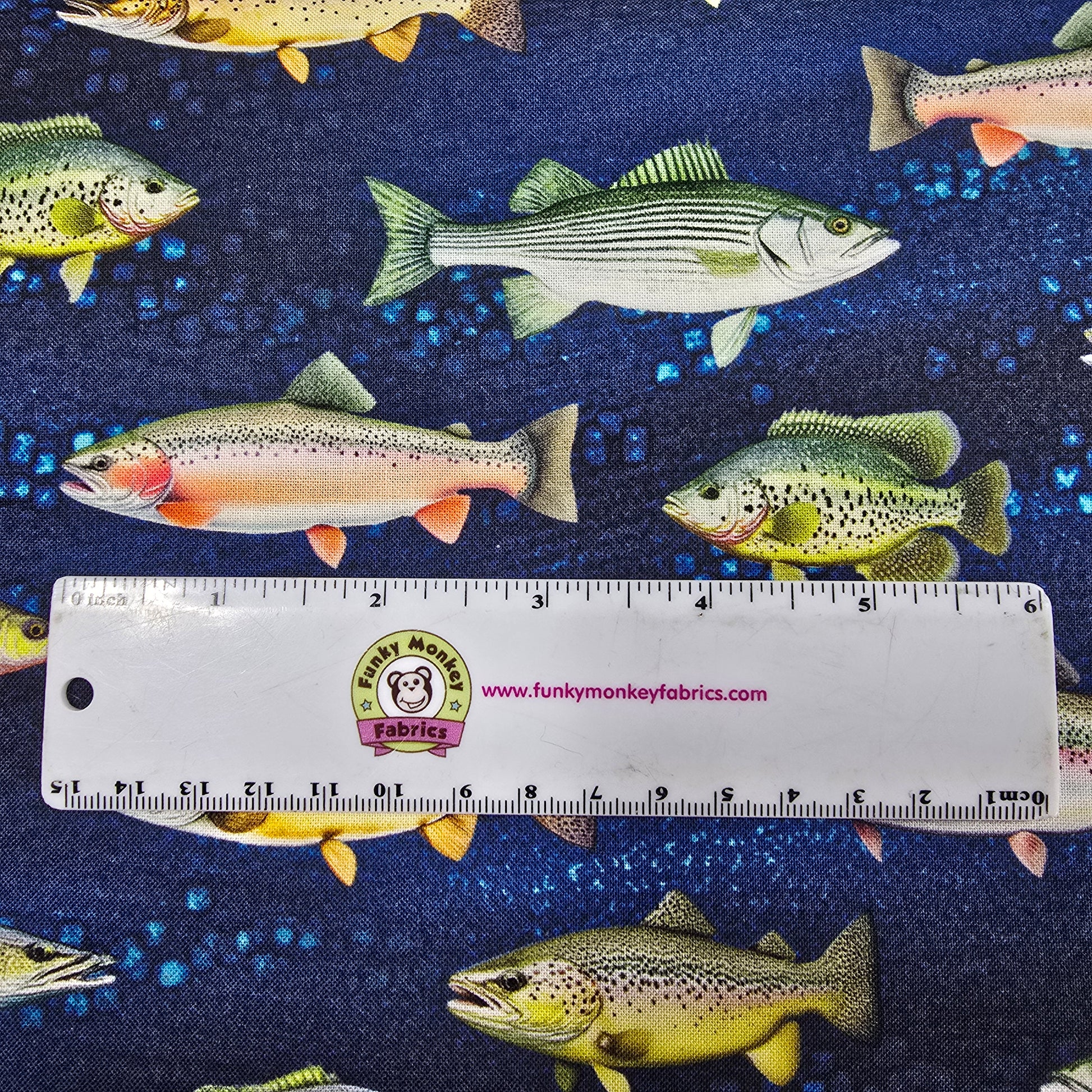 Blue Fish - Timeless Treasures Cotton