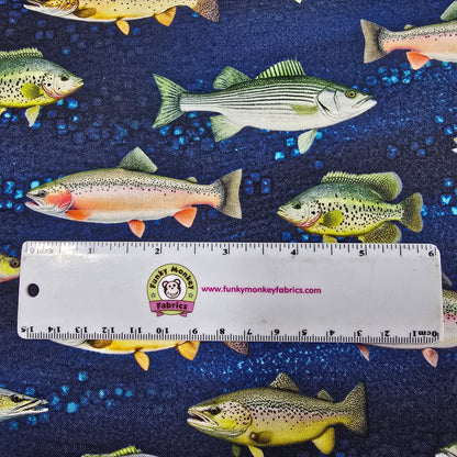 Blue Fish - Timeless Treasures Cotton