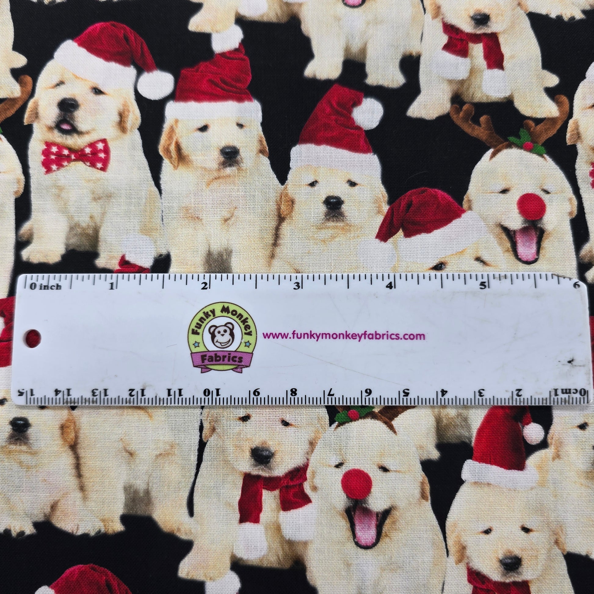 Black Holiday Lab Puppies - Timeless Treasures Cotton