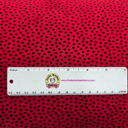 90" Dottie Cardinal - Shannon Fabrics Cuddle Minky