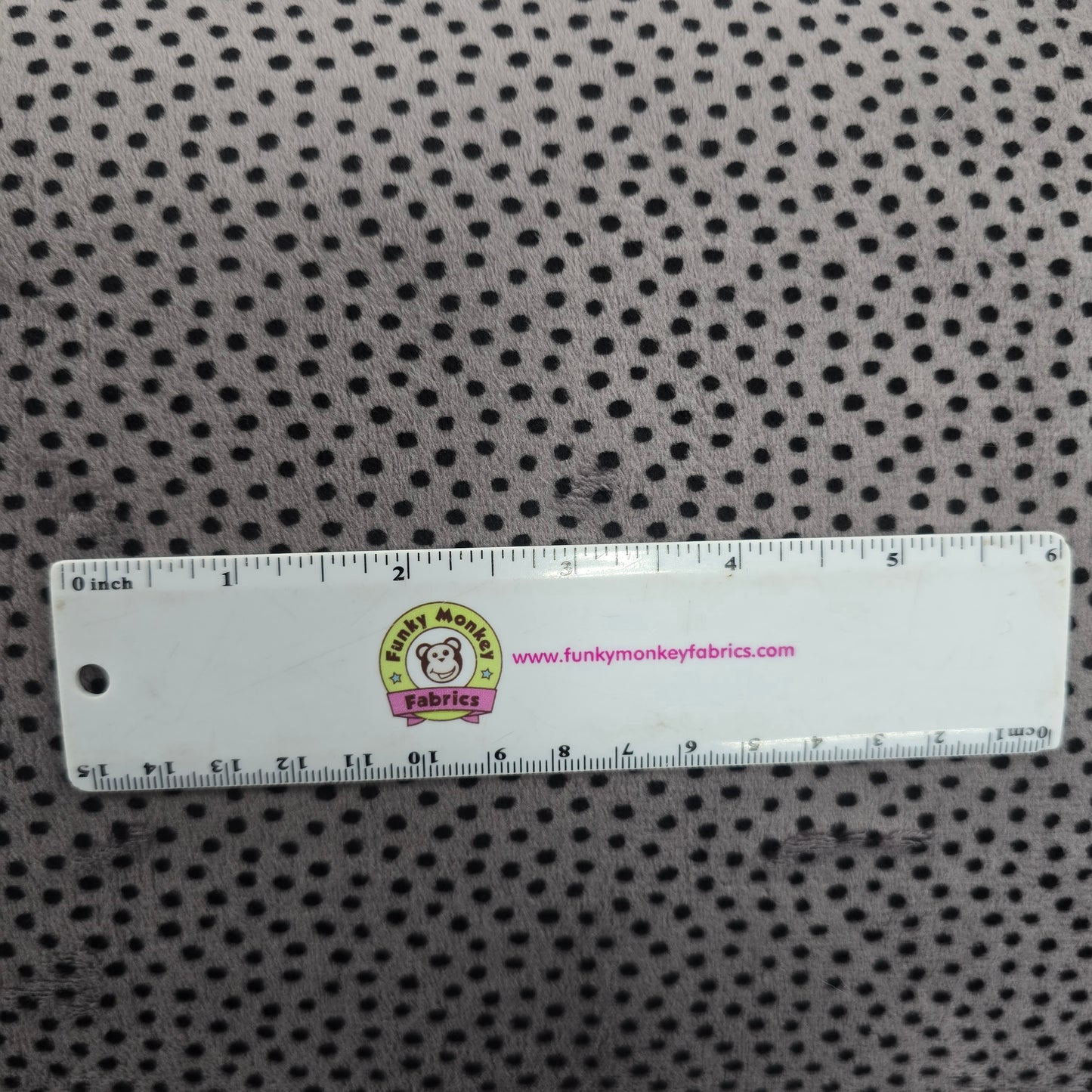 90" Dottie Charcoal - Shannon Fabrics Cuddle Minky