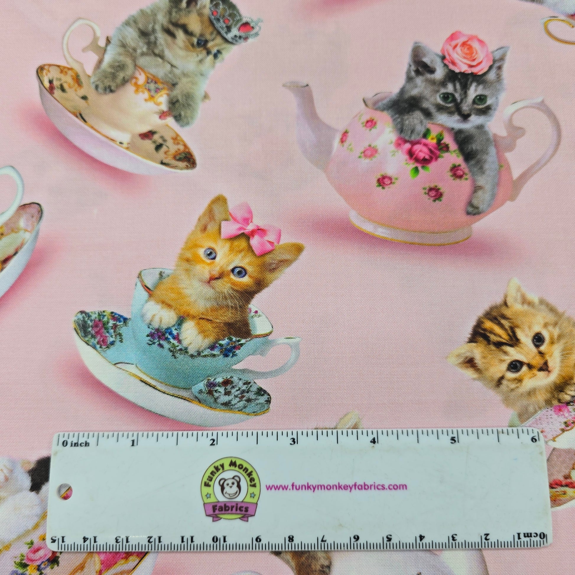 Teacup Kitty - Timeless Treasures Cotton