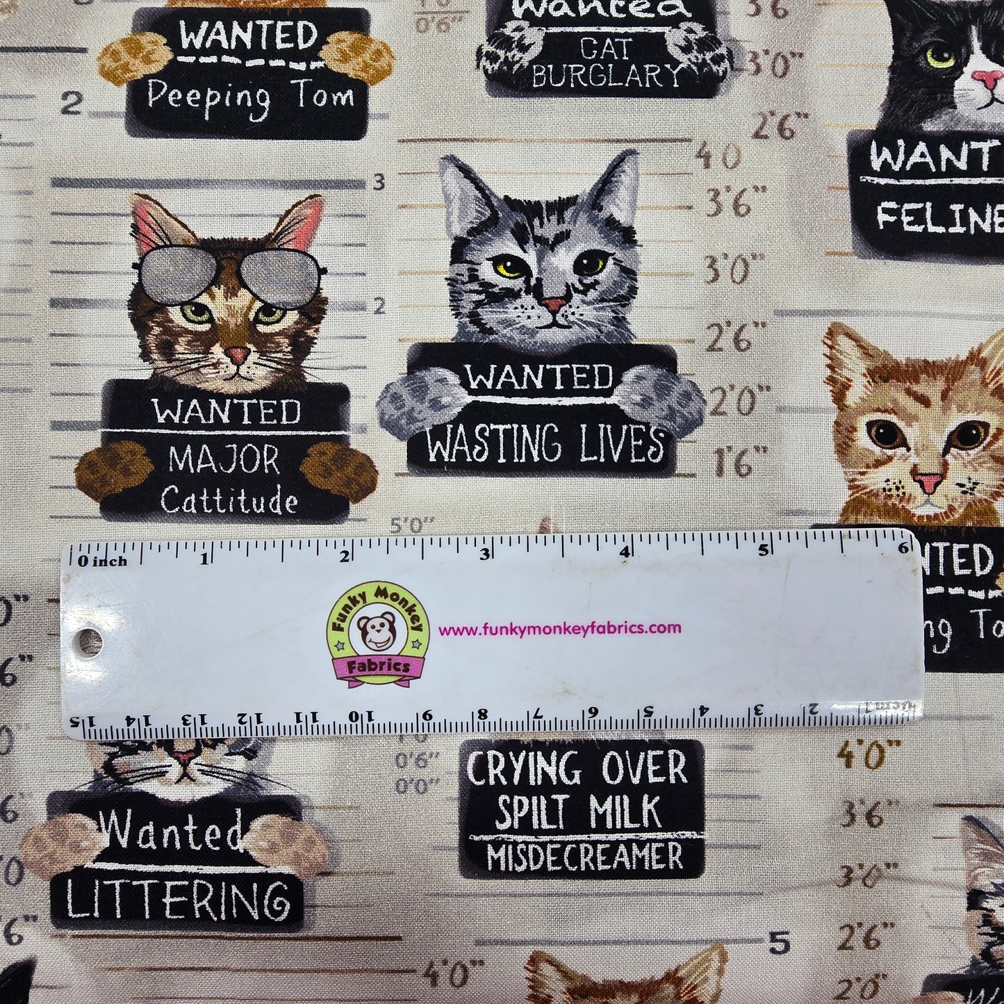 Beige Cat Mugshots - Timeless Treasures Cotton