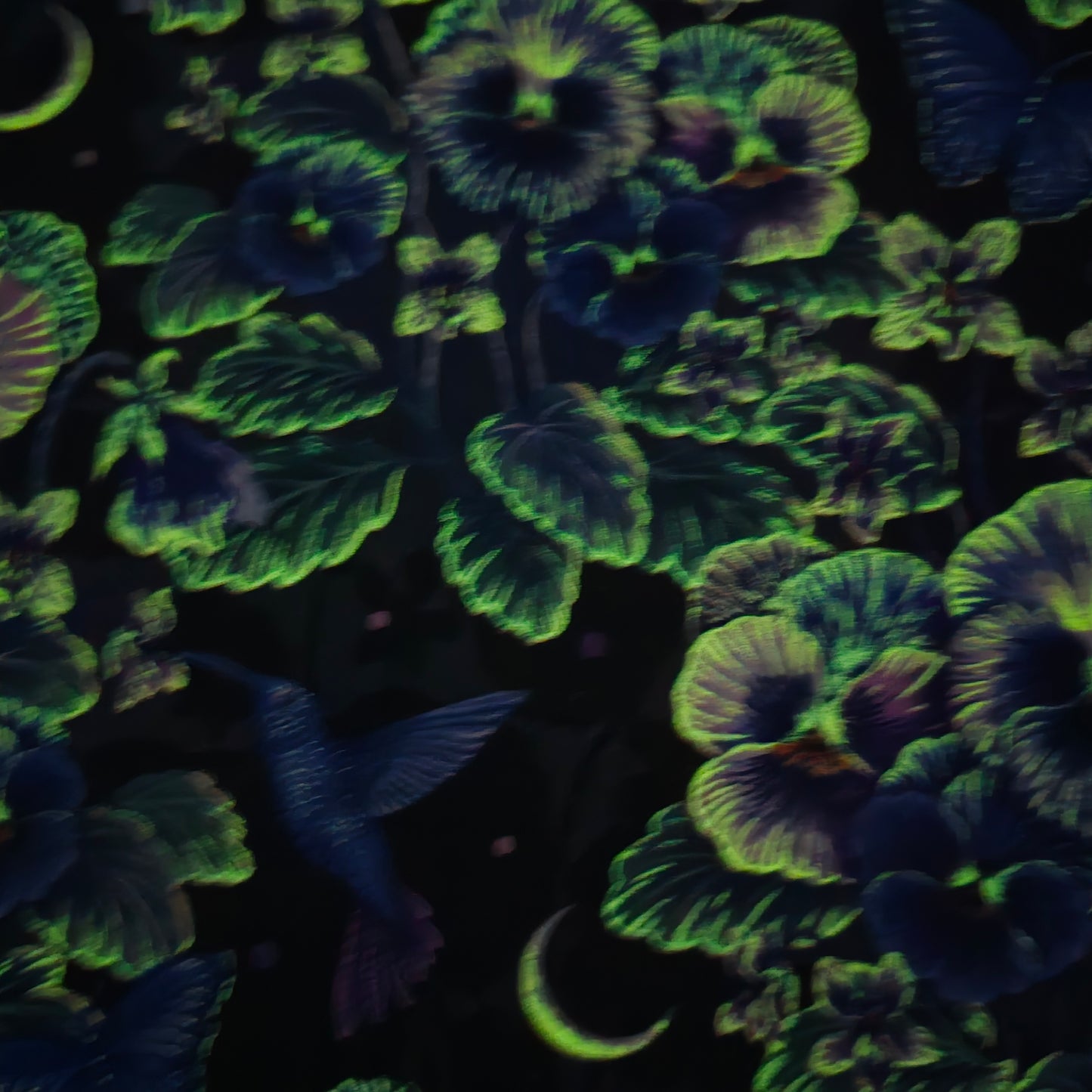 Pansies with Hummingbirds and Butterflies Glow in the Dark - Blank Cotton