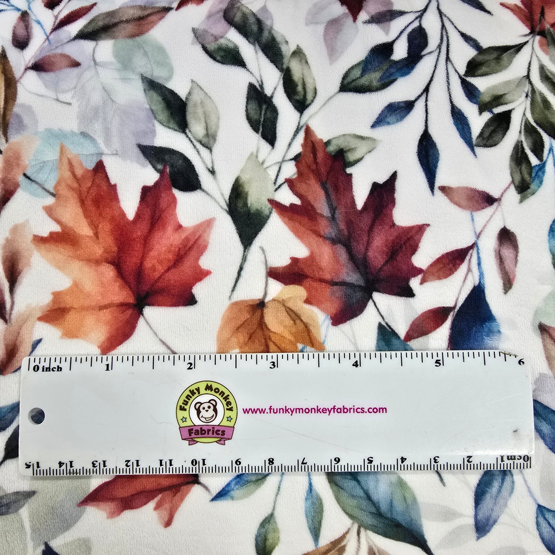 Harvest Hues Digital - Shannon Fabrics Cuddle Minky