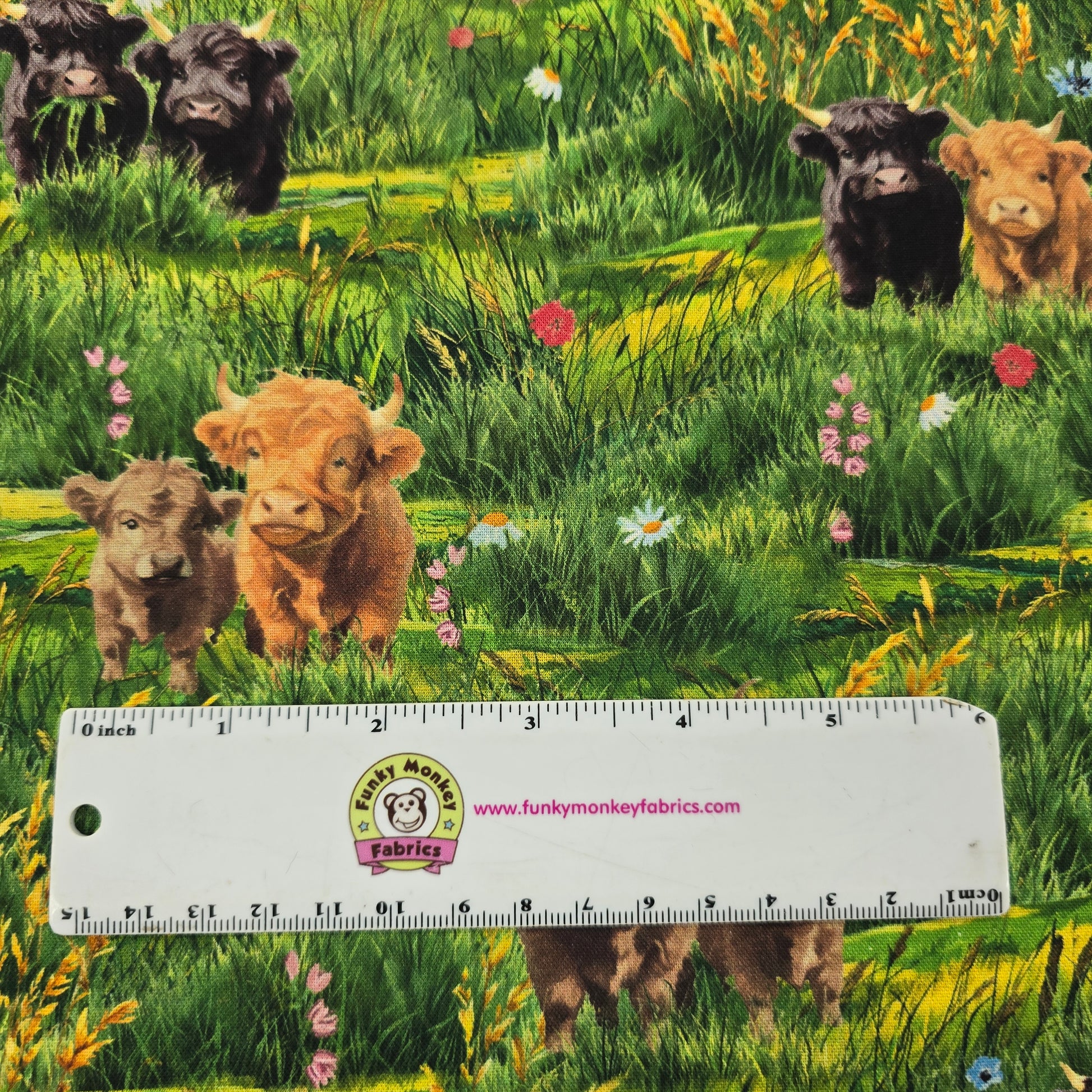 Highland Cows in the Field - Windham Fabrics Cotton