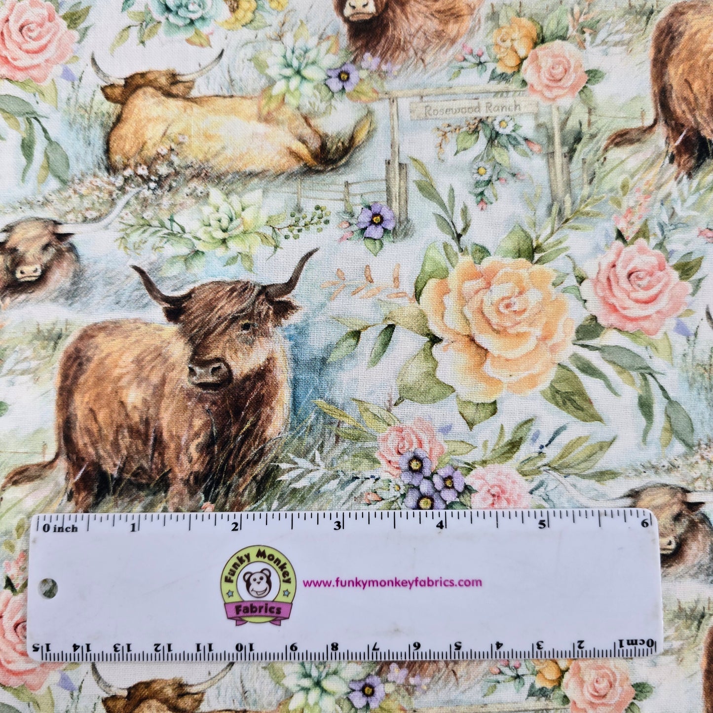 Highland Ranch Cow Ranch - Springs Creative Cotton