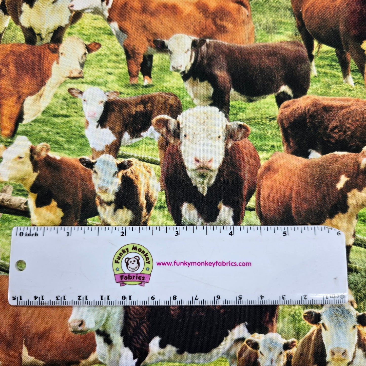 Hereford Cows In A Corral - Timeless Treasures Cotton