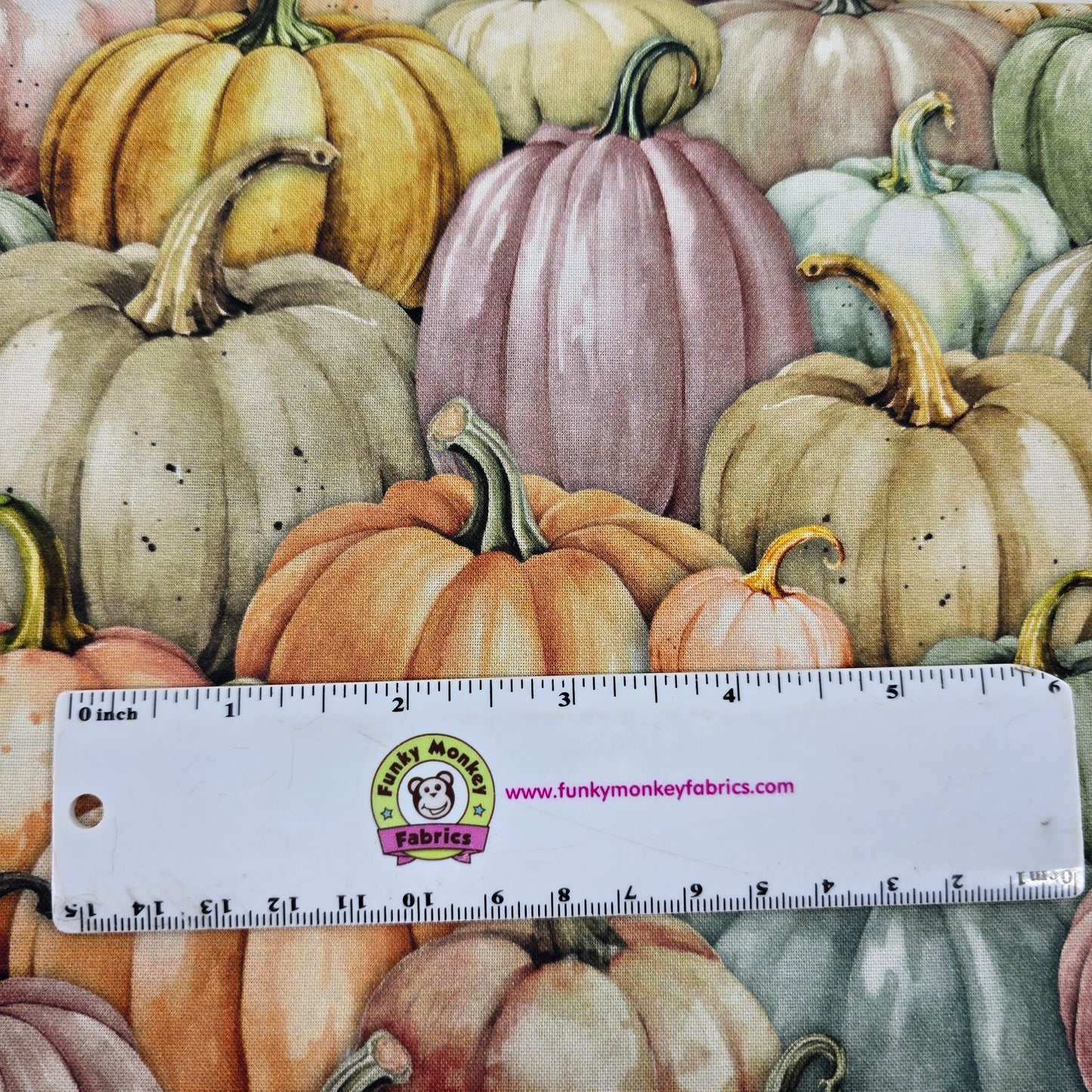Citrus Pumpkin Patch - Studio E Cotton