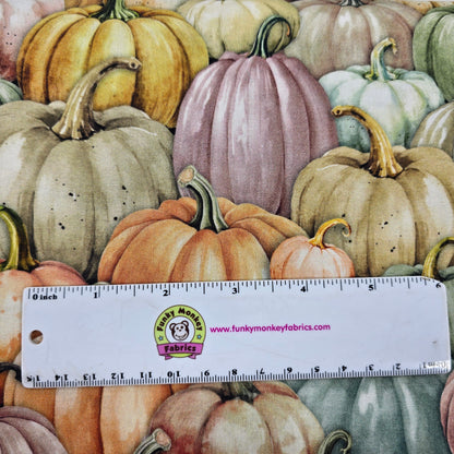 Citrus Pumpkin Patch - Studio E Cotton