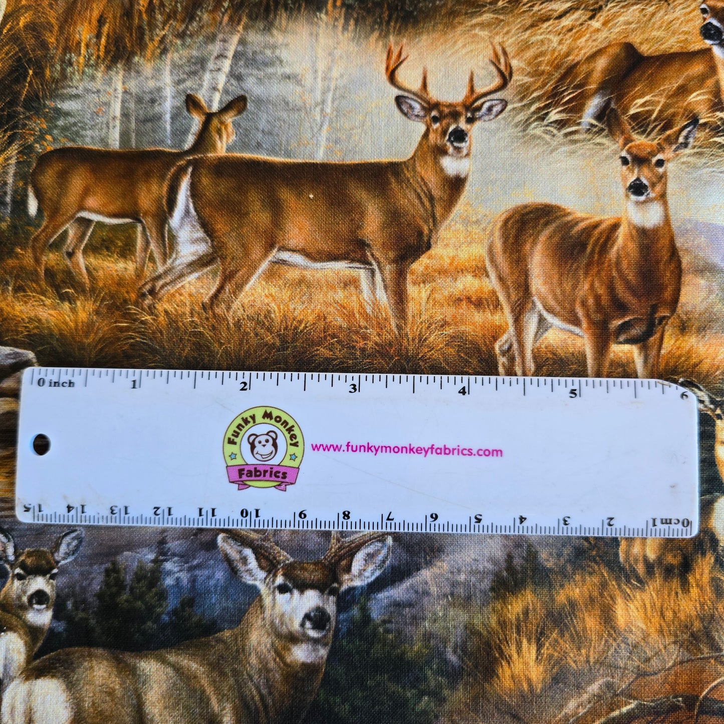Deer Glance - Springs Creative Cotton