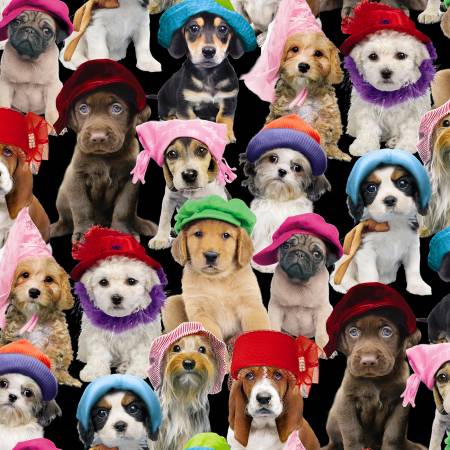 Puppies In Hats - Elizabeth's Studio Cotton - 1/2 yard (3801-blk)
